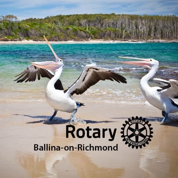 Two pelicans on a beach with the caption rotary ballina - on